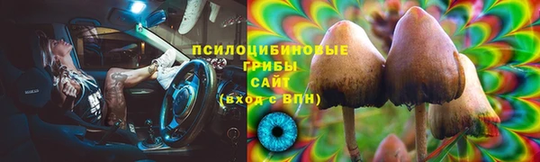 эйфоретик Гусь-Хрустальный