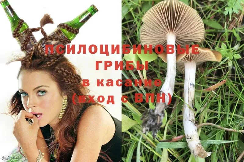 Галлюциногенные грибы Psilocybine cubensis  гидра зеркало  Азов  купить  цена 