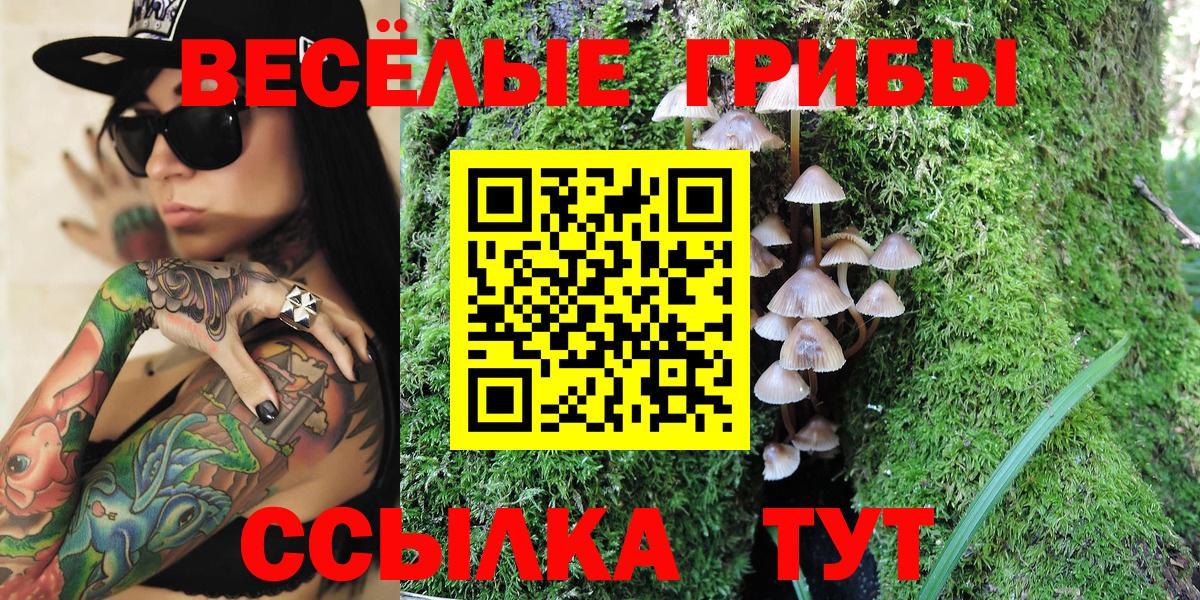 Псилоцибиновые грибы мицелий  Вход с VPN  Азов 